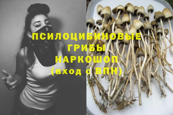 ALPHA PVP Верея