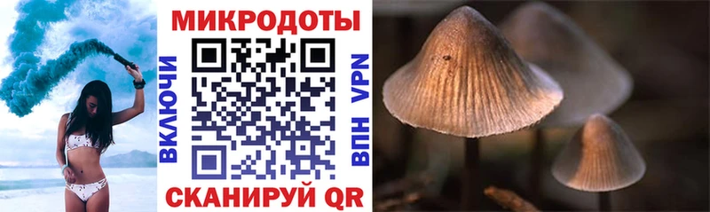Галлюциногенные грибы Psilocybe  купить закладку  Карпинск 